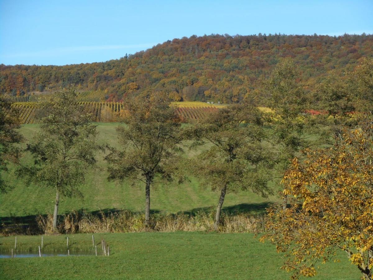 Pension Zur Traube 3 Sterne Oberschwarzach Экстерьер фото